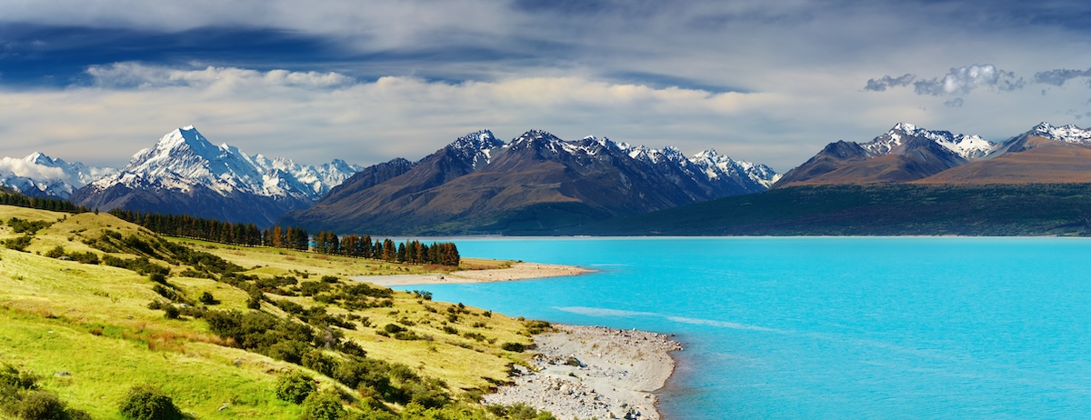 Rolling green pasture landscape in New Zealand